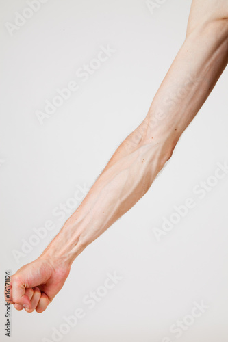 veins of a man