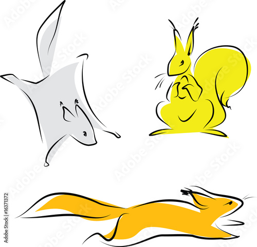 Three squirrels