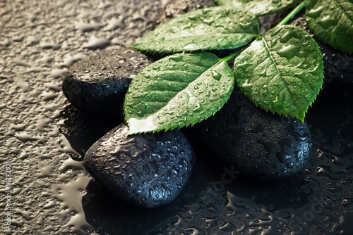 Canvas Print wet stones and leaves