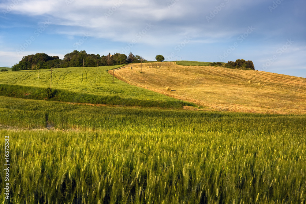 Hay bales on rural landscape