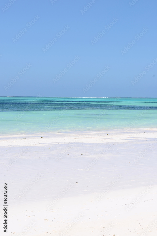 Fototapeta premium perfect beach
