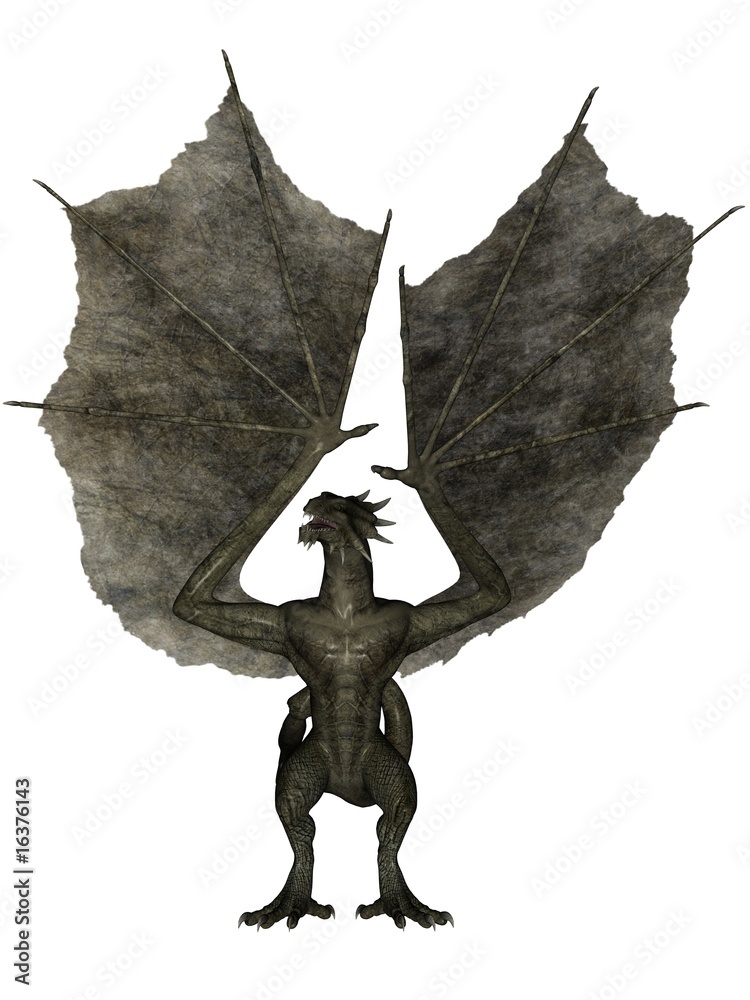 Fototapeta premium Standing wyvern