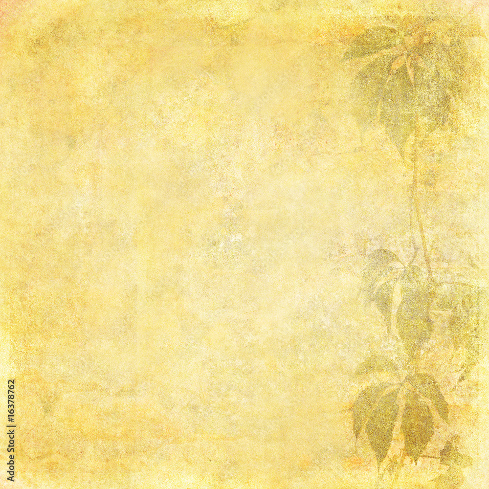 Fototapeta premium grunge floral background with space for text or image