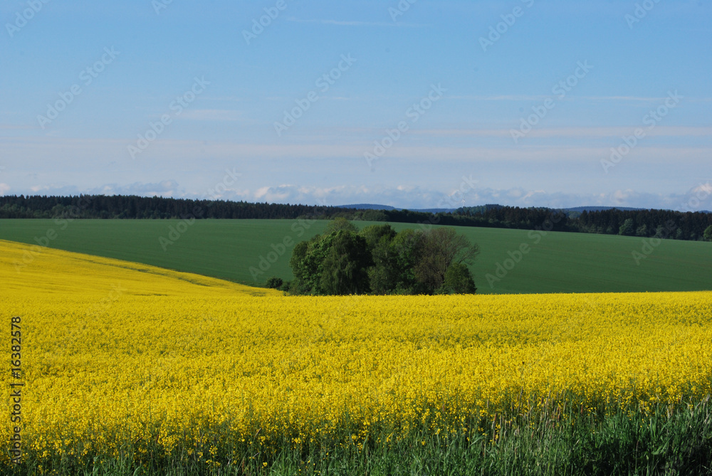 Fototapeta premium Felder und Wiesen