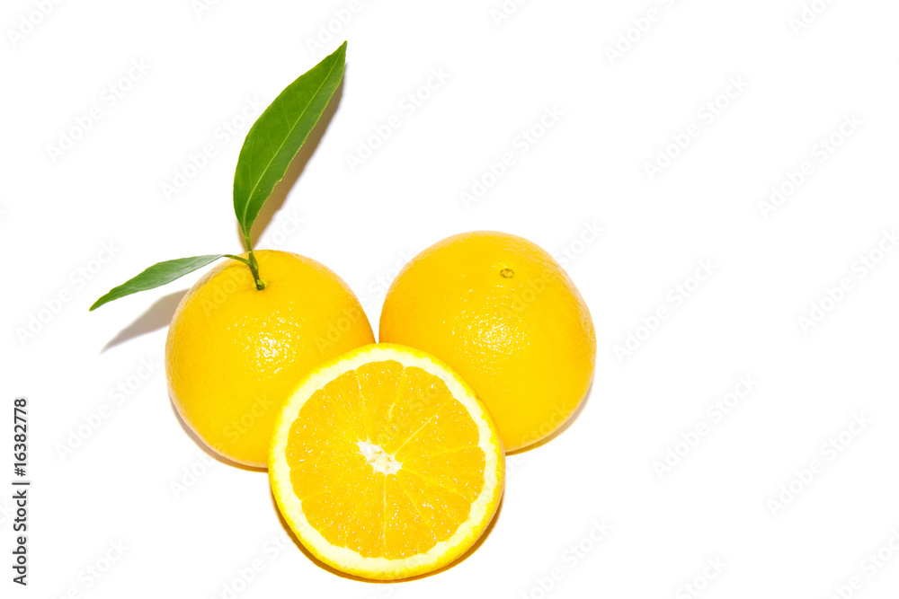 Orange studio isolated on white background Orange studio isolated on white background