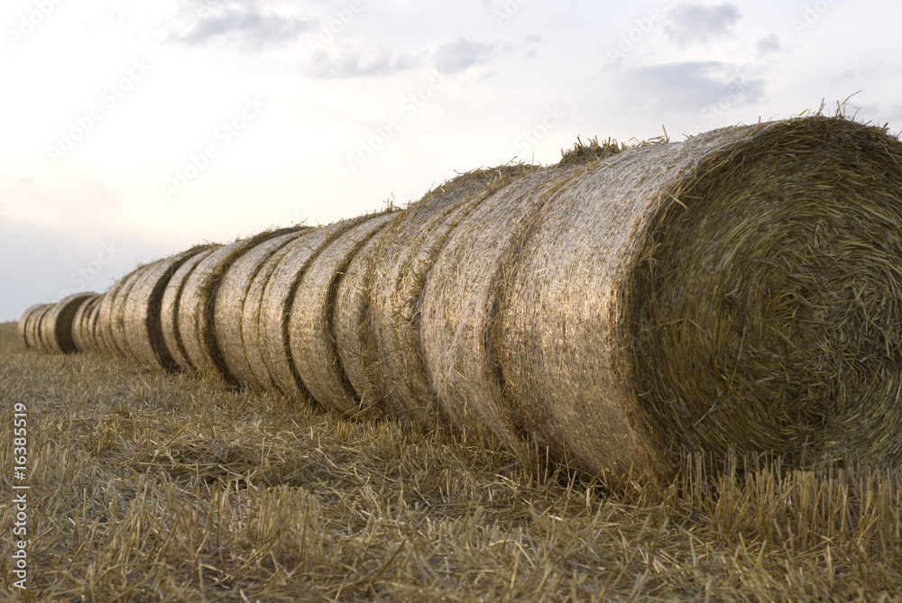 Bales of Straw in evening