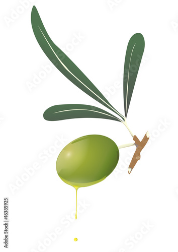 Oliva aceite