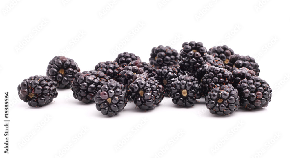 Blackberries on white Blackberries on white