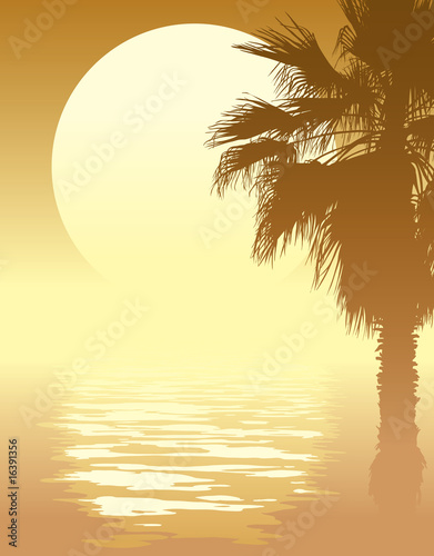 Tropical sunset with palm tree