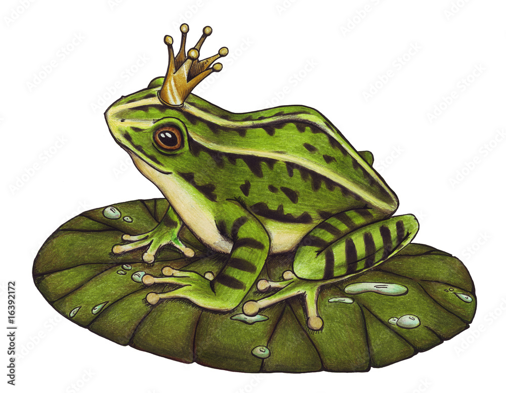 Froschkönig, Frosch, König, Märchen, Buch, Krone Stock Illustration | Adobe  Stock