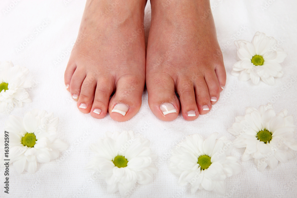 Fototapeta premium Spa and wellness