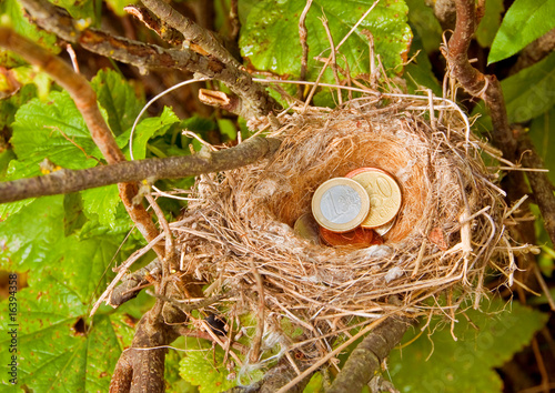 Euro Coins in the Nest