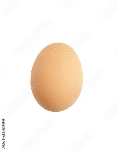 organic egg isolated