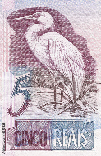 great egret (Ardea alba) on 5 Real banknote from brazil
