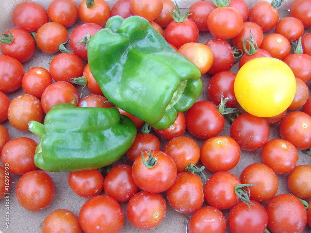 tomate tomate