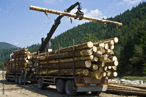logs