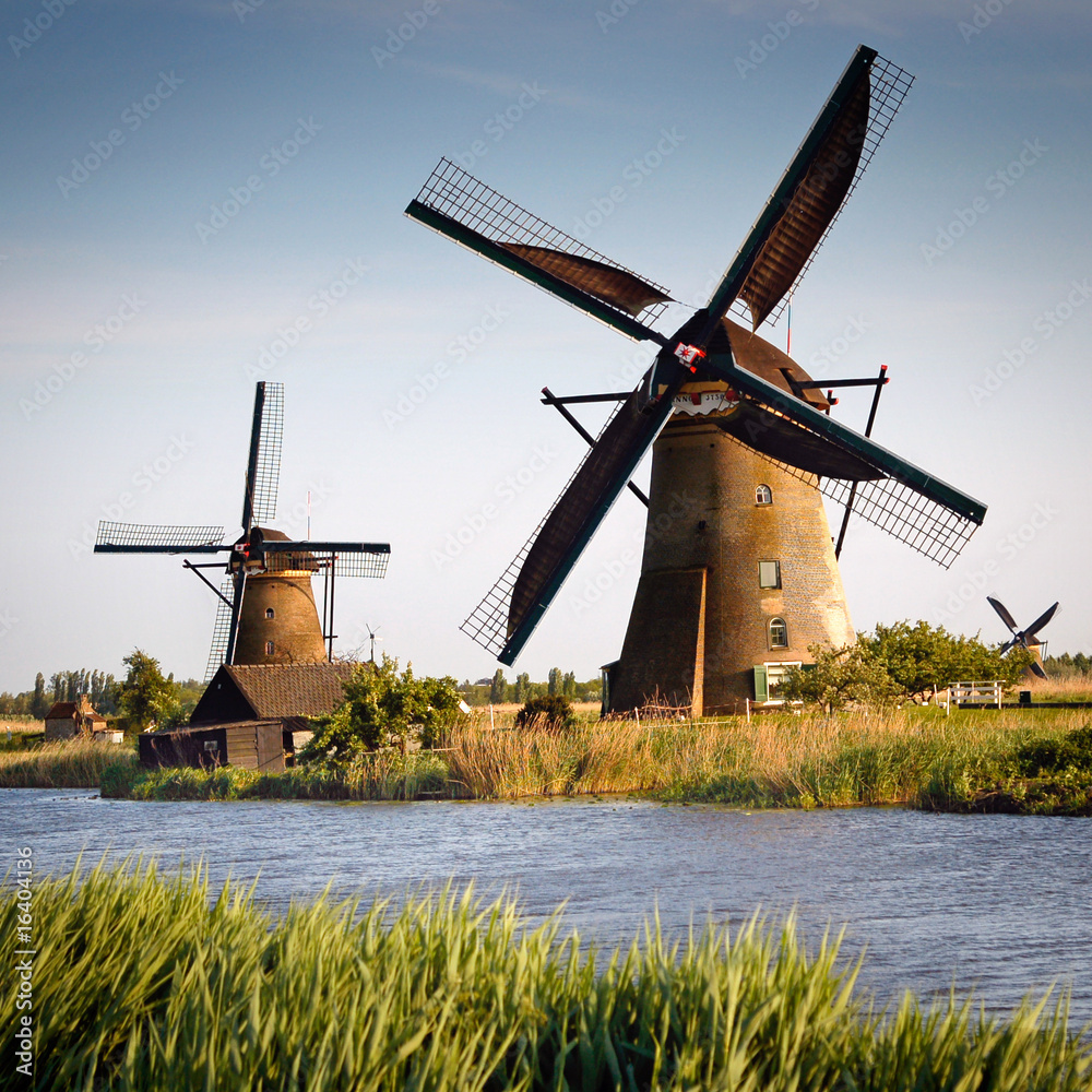 Old windmills at Netherlands - obrazy, fototapety, plakaty 