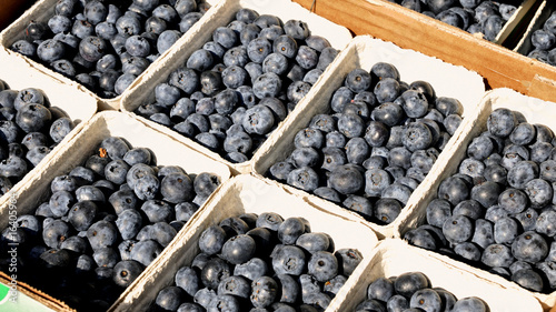 Waldbeeren photo