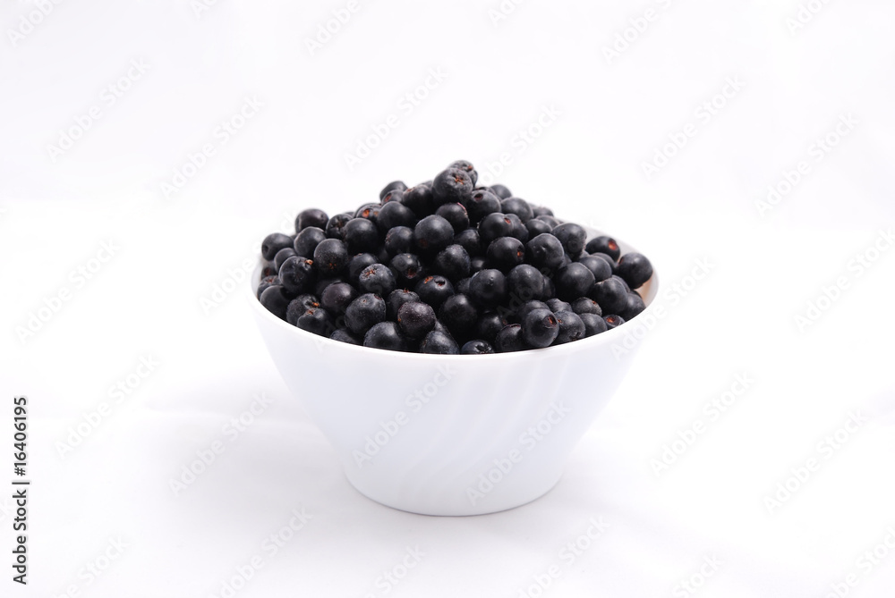 Aronia Aronia