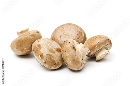 fünf braune champignons isoliert
