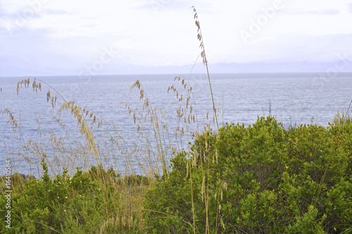 Slope down the ocean  Cilento   Italy