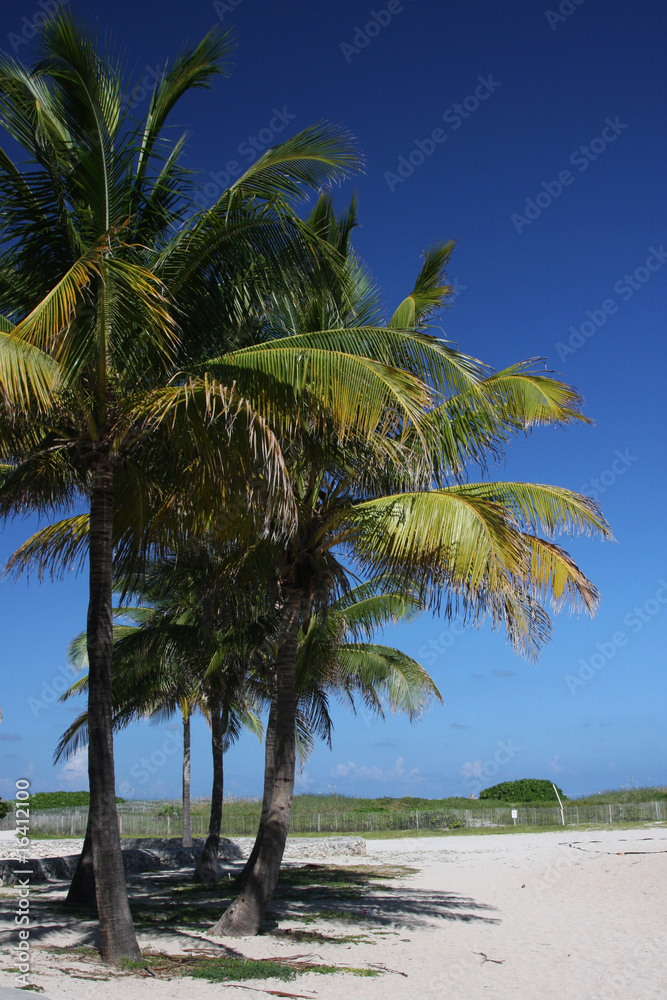 Fototapeta premium Plage