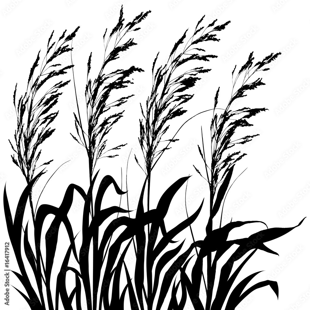 piante al vento