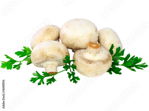 Ripe mushroom champignon with green parsley.Isolated