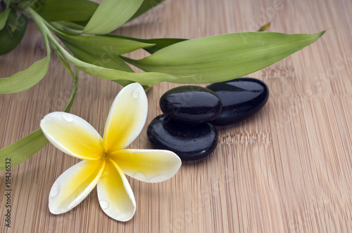 Spa still life, with flower and bamboo leafs