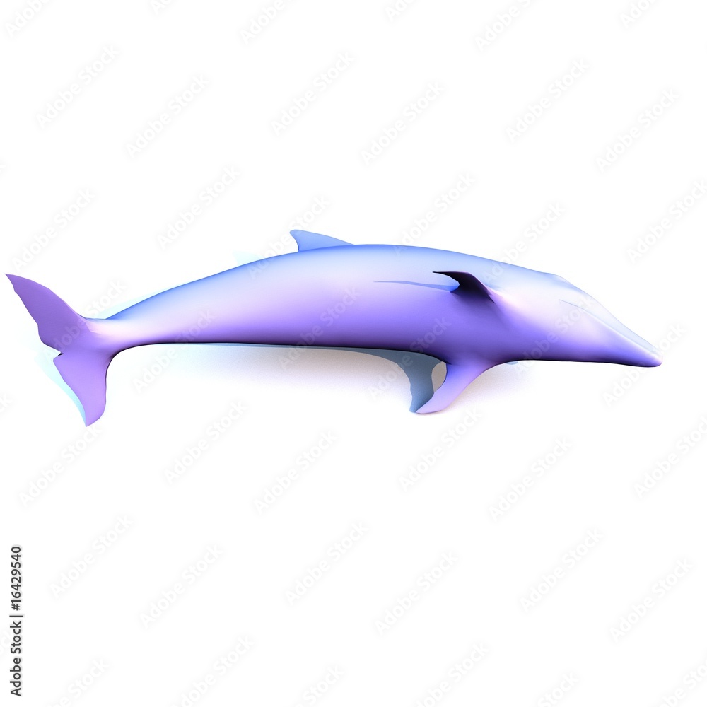 Obraz premium delfino