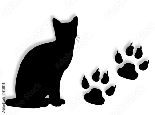Gatto con orme