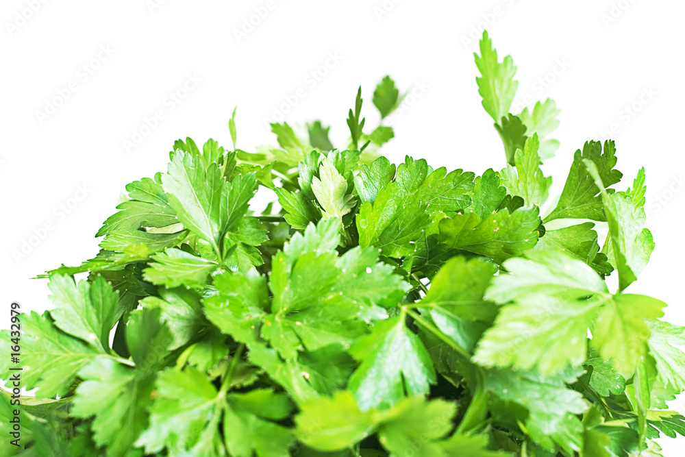 leaves leaves