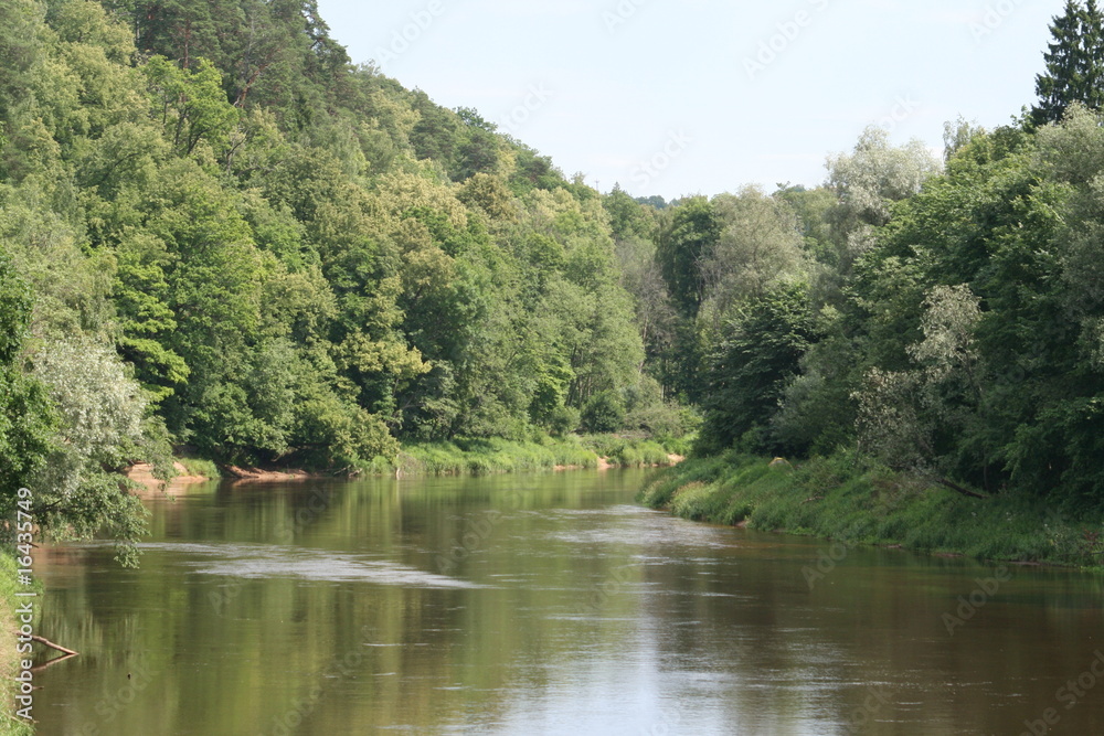 view on wild river