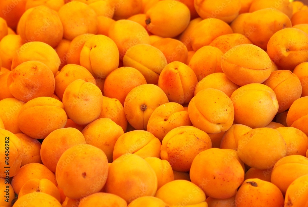 Provence Apricots
