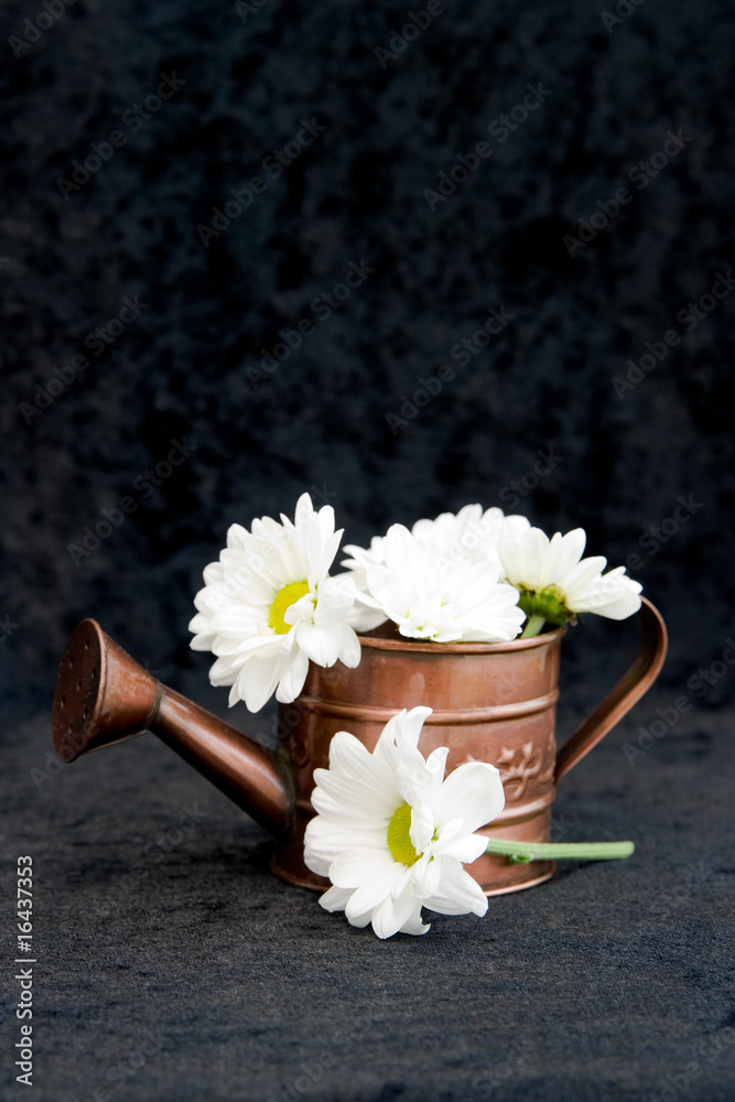 Fototapeta premium watering can with flowers against black background