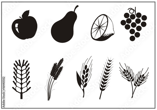 Obst und Getreide