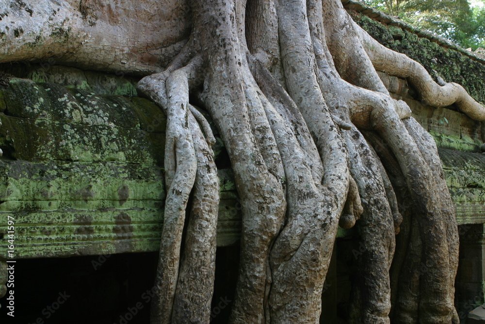 Preah Khan Tempel - angkor wat