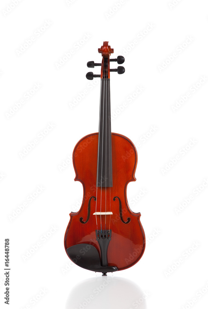Fototapeta premium Violin on White