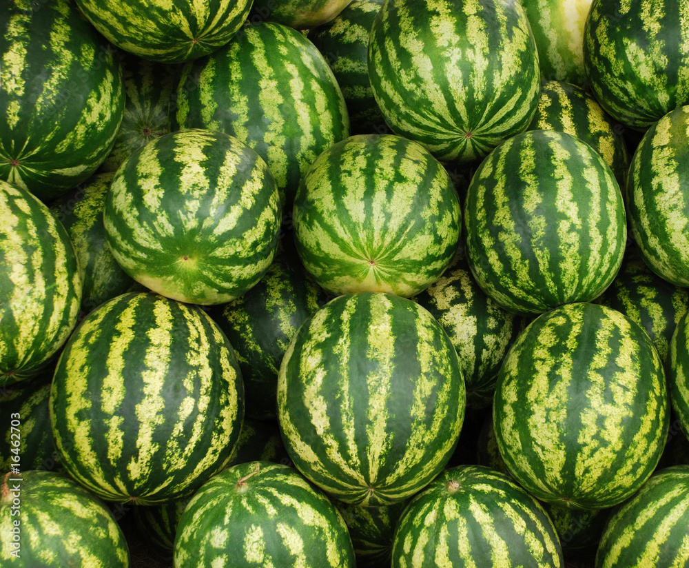 water-melons water-melons