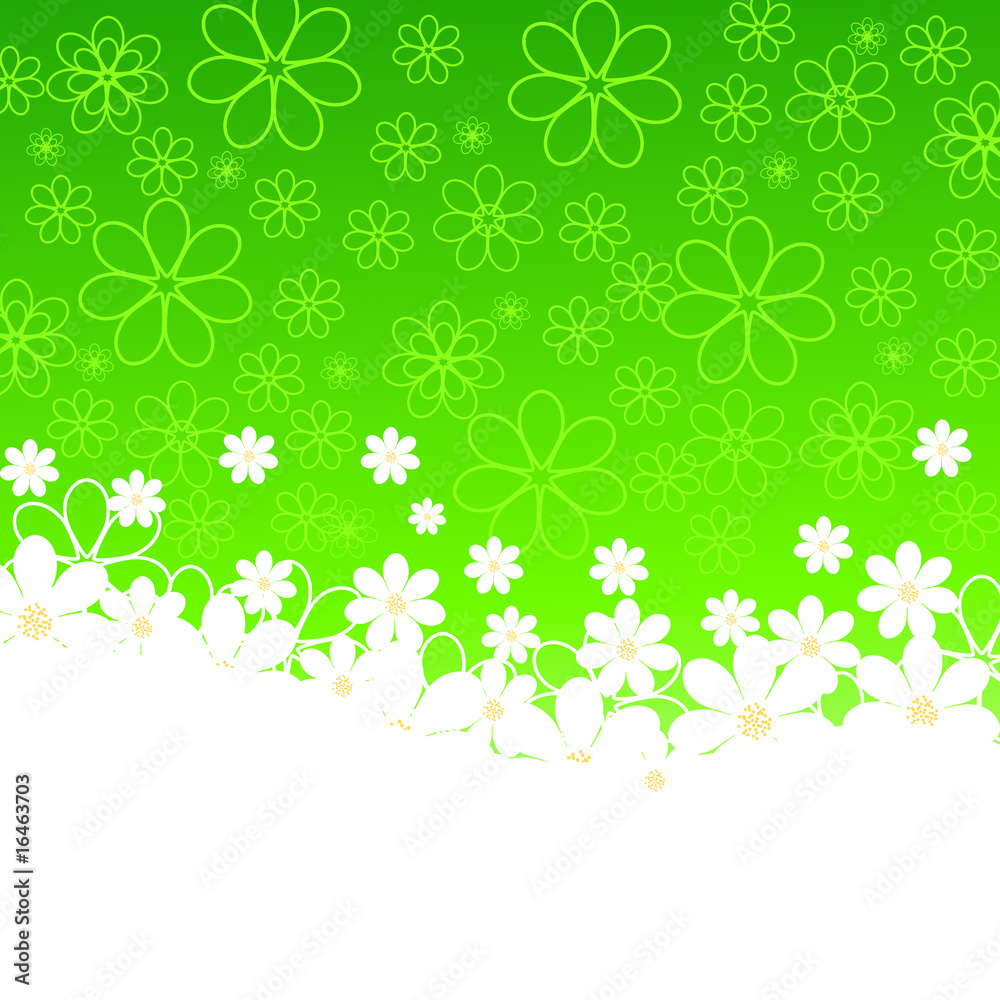 green background with daisies. vector green background with daisies. vector