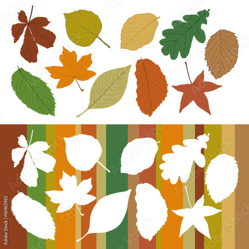 Herbst_Blaetter_Jahreszeit