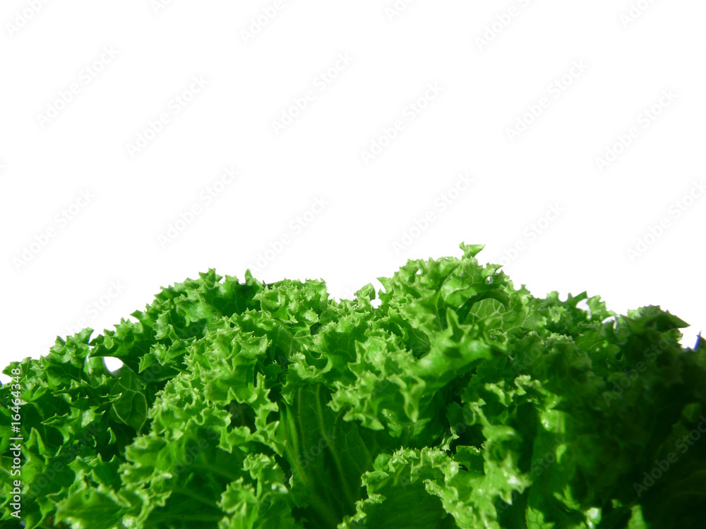 salat salat