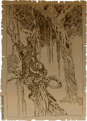 fantasy trees