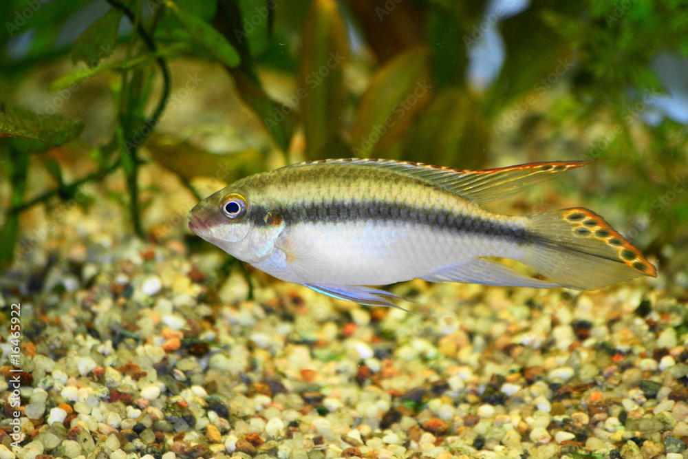 Obraz premium SONY DSC