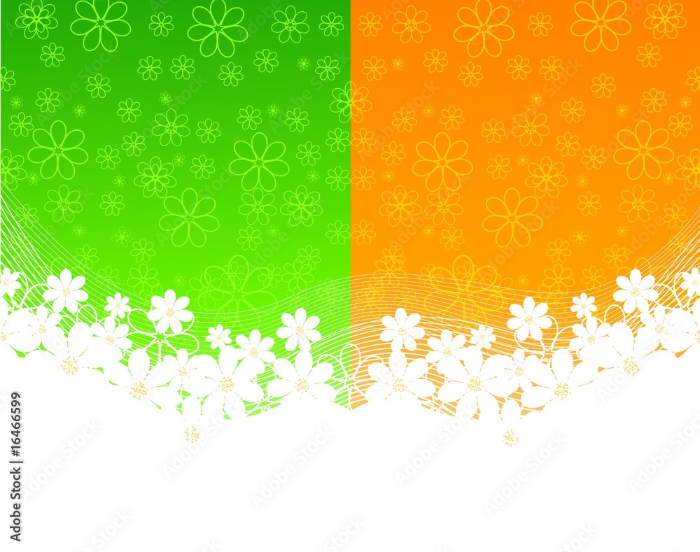 two background with daisies. vector