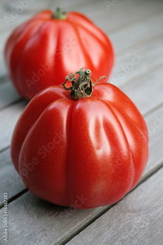 Coeur de Boeuf Tomaten photo