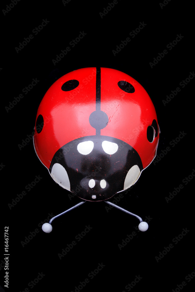 Fototapeta premium ladybug toy