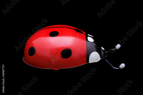 ladybug toy photo