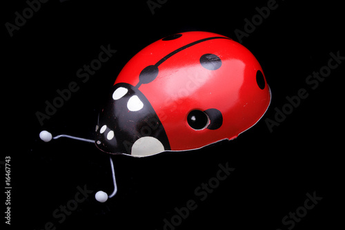 ladybug toy photo