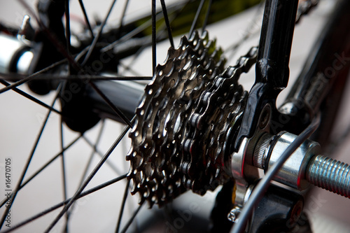 detail of a gear of a bicycle